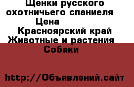 Щенки русского охотничьего спаниеля  › Цена ­ 5 000 - Красноярский край Животные и растения » Собаки   